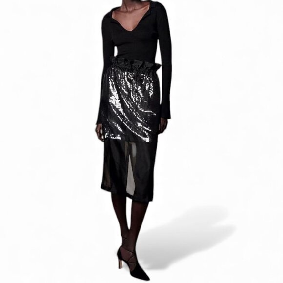 J. Crew Collection layered silk organza sequin skirt Size XS - Picture 1 of 10